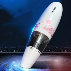 Portable handheld vacuum cleaner 12V 60W