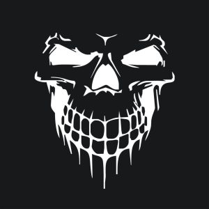 Car & SUV Hood & Side Door Skull Head Sticker