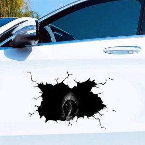 High Quality Car-SUV Hood & Side Doors sticker