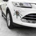 3D Car-SUV Spider Gecko Animal Car Stickers