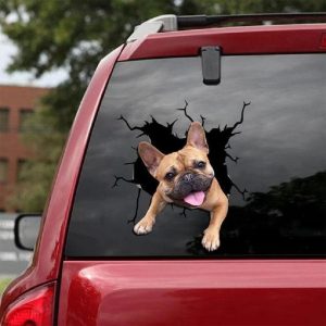 Animal Broken Hole rear Window Car Stickers
