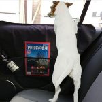 Car pet mat Side door anti-scratch anti-kick Oxford cloth
