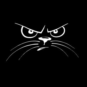 Angry Cat Face Bumper And Window Car Stickers